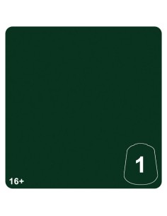 Pintura Warhammer Tone Pro: Hierotek Green 1 (12ml) | Avalon Burgos 2