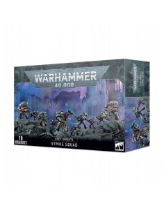 Escuadra de Ataque - Grey Knights